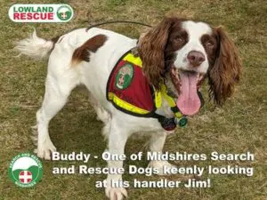 Midshires Search and Rescue Dog, Buddy