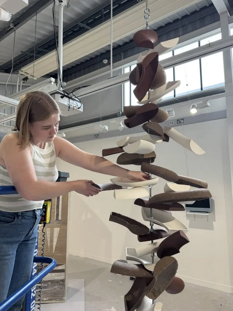 Star Platforms Delivers Rapid Access Solution to Support University Art Installation