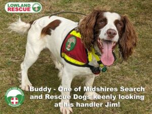 Midshires Search and Rescue Dog, Buddy